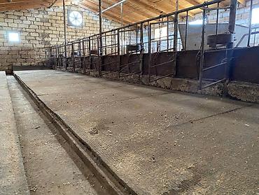 arenda koşk: Ferma/Göyçayda 260 hektar sahədə ferma bütün avadanlıqlarla və fermada — 4