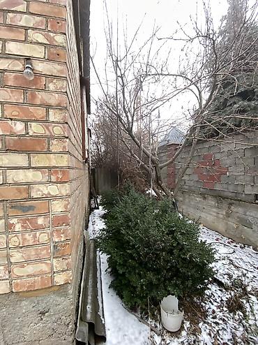 Продажа участков: 9 соток, Красная книга at lalafo.kg — 10 Продажа участков: 9 соток, Красная книга — 10