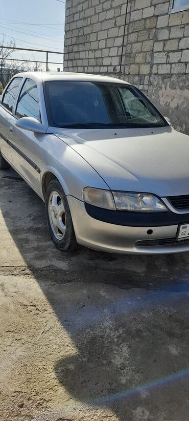 Opel: Opel Vectra: 1.6 l | 1998 il 400000 km Sedan — 3