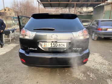 Lexus: Lexus RX: 2004 г., 3 л, Автомат, Газ, Внедорожник — 6