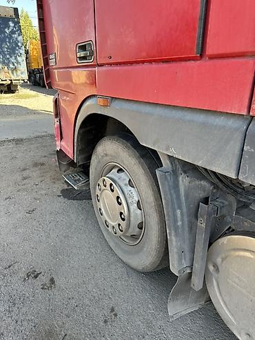 стартер даф 95: Тягач, DAF, 2000 г., Без прицепа — 10