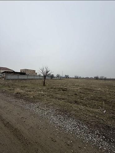 15 соток, Курулуш, Кызыл китеп, Сатып алуу-сатуу келишими — 4