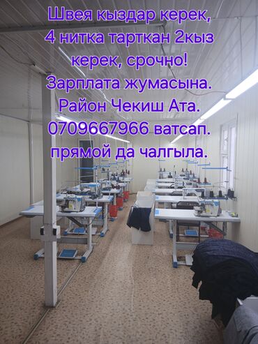 вет врач токмок: Тикмечи Түз тигиш тигүүчү машина