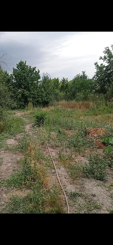 Комнаты: Сдам комнату девушке в частном доме, без вредных привычек, душ в — 1