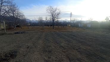 Продажа участков: 25 соток — 21