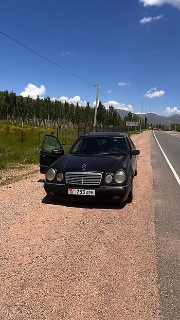 bud e9: Mercedes-Benz E-Class: 1997 г., 4.3 л, Автомат, Бензин, Седан — 6
