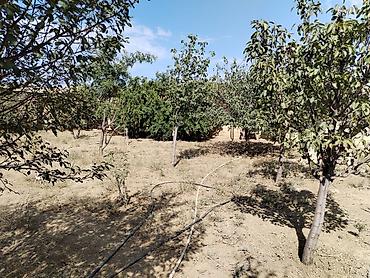 Həyət evləri və villaların satışı: 7 otaqlı, 156 kv. m, Təmirsiz — 25