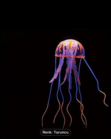 Akvarium aksessuar və ləvazimatları: Salam. Akvarium ləvazimatları satılır. Təzə vəziyyətdədir. Heç — 4