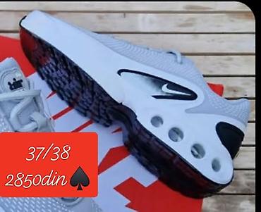 Patike: Patike 
2850 din
l — 8