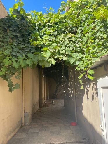 Uzunmüddətli kirayə evlər: 120 kv. m, 4 otaqlı — 5