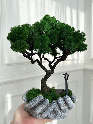 Декоративные цветы: Деревья-бонсай из натурального стабилизированного мха🌳 -это — 67