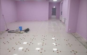 Укладка плитки: Подготовка стен для укладки, Подготовка стен для грунтовки, Резка плитки | Керамическая плитка, Керамогранитая плитка, Мозаичная плитка | Вертикальная укладка, Диагональная укладка, Горизонтальная укладка Больше 6 лет опыта — 27