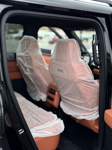 BYD: BYD : 2025 г., 1.5 л, Автомат, Гибрид, Внедорожник — 14