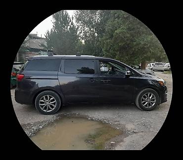 Kia: Kia Carnival: 2019 г., 3.3 л, Автомат, Газ, Минивэн — 10