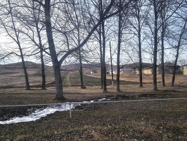 Torpaq sahələrinin satışı: 12 sot, Tikinti, Mülkiyyətçi, Kupça (Çıxarış)