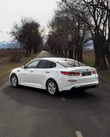Kia: Kia Optima: 2019 г., 2.4 л, Автомат, Бензин, Седан — 6