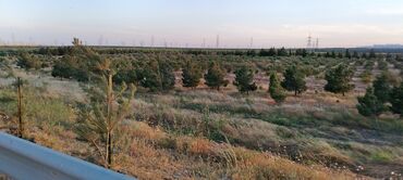 Torpaq sahələrinin satışı: 22 sot, Kənd təsərrüfatı, Mülkiyyətçi, Texniki pasport — 10