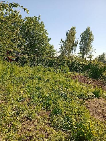 Продажа коттеджей и домов: Продаю дом совхоз ада тоо, участок 11соток, дом 4 к, кух, баня, гараж — 4