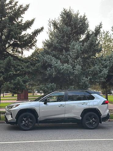 Toyota: Toyota RAV4: 2019 г., 2.5 л, Вариатор, Гибрид — 2