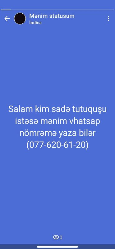 Gəmiricilər: Tutuquşları