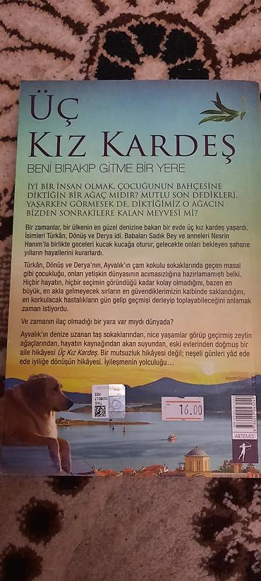 Книги и журналы: Məhsul: Kitab – “Üç Kız Kardeş: Beni Bırakıp Gitme Bir Yere” yenidir — 2