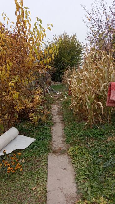 Продажа участков: 8 соток, Для сельского хозяйства, Тех паспорт — 7