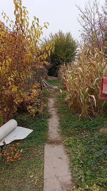 Продажа дач: Продаю дом на даче возле города Кант, 5 минут езды село Дмитриевка — 9