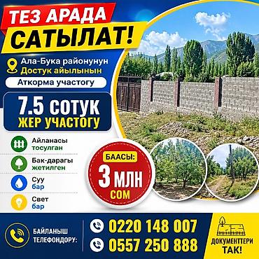 Недвижимость: 8 соток — 1