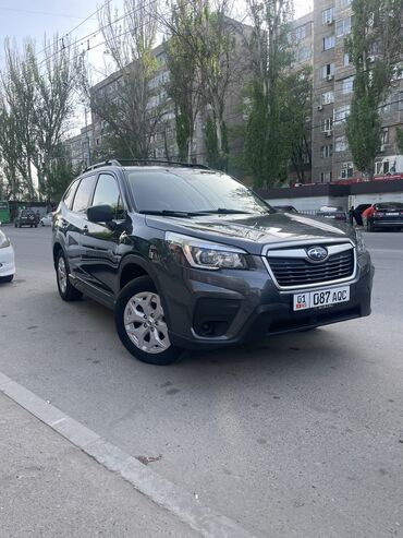 лобовое форестер: Subaru Forester: 2019 г., 2.5 л, Вариатор, Бензин, Кроссовер