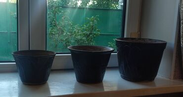 комнатные растения лимон: Керамические горшки для цветов
Высота 18. 17.15 см