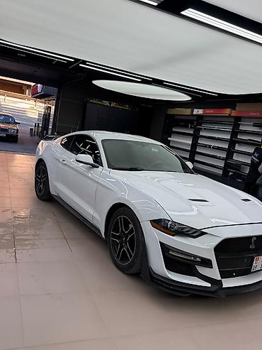 задний бампер форд мондео 3: Ford Mustang: 2019 г., 2.3 л, Автомат, Бензин, Купе — 10