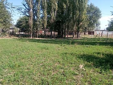 белогорка сокулук: 4 соток — 1