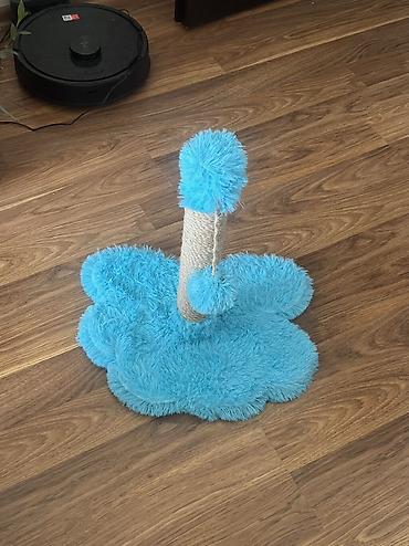 pişik şekli cekmek: Игрушка для кошек новая — 3