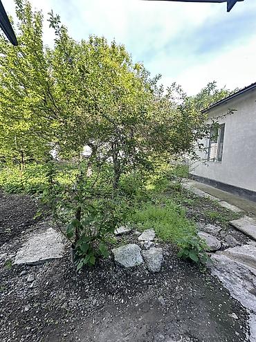 rent room: Срочно ❗️❗️❗️ 🏡 Продаётся дом с участком 8 соток | 5 ГЭС, с. Дачное ✨ — 2