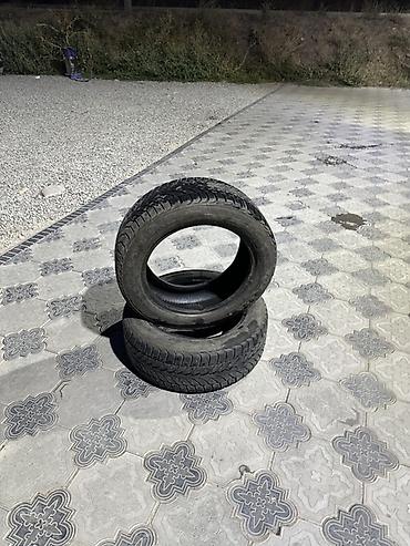 d 110: Пара автомобильных шин 205/55 R16. Европеец Особенности: - Размер — 3