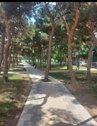 Uzunmüddətli kirayə mənzillər: Metro Əcəmiyə yaxın .Nəsimi və Binəqədi rayonunun kəsişməsi. 9-cu — 10