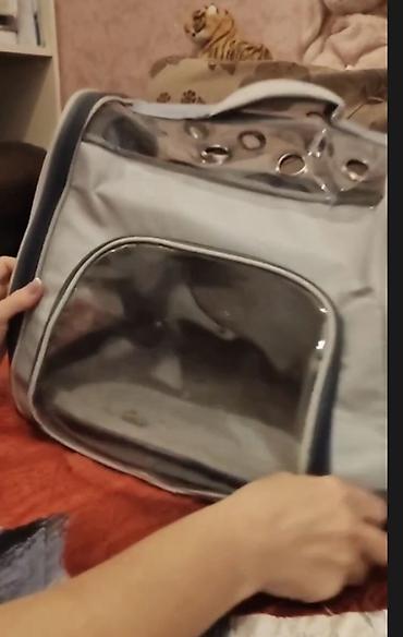 Зоотовары: Ev heyvanları üçün daşıma çantası/backpack tipli daşıyıcı. Açıq boz — 6