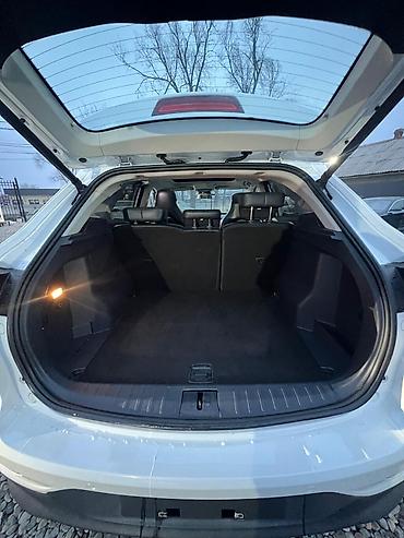 Weltmeister: Weltmeister 2021 г., Передний, В наличии — 8