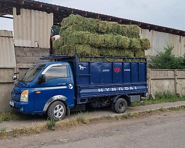ручной компрессор: Hyundai Porter (Porter II) с гидравлическим самосвальным кузовом — 2