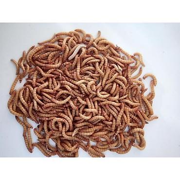 akvarium baliq bazari: 🐛 Canlı Un Qurdu Satılır! ✔️ Təzə və sağlam ✔️ Toyuqlar, quşlar və — 6