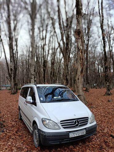 Sərnişin daşımaları: Minivan — 11