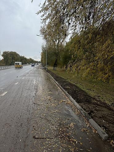 kamaz: Услуги экскаватора | Выкорчевывание пней, Траншеи, Котлованы — 4