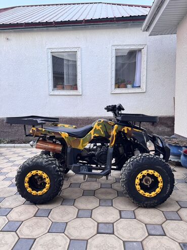 Квадроциклы: Квадроцикл Бензин, 250 куб. см, Взрослый — 6