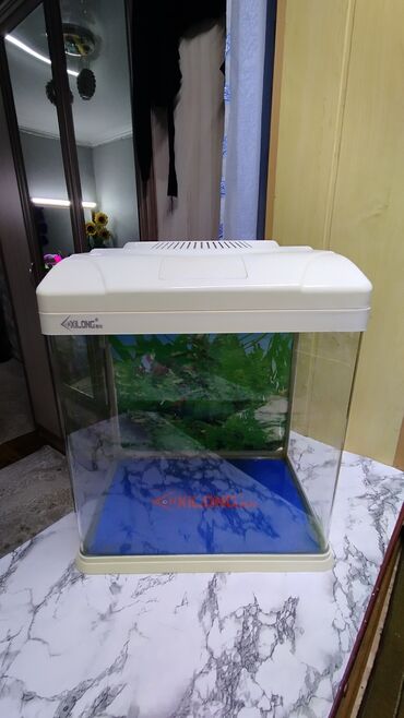 аквариум с рыбами: Аквариум 
30 литров