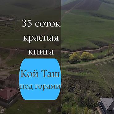 кызыл ата: 35 соток, Для строительства, Красная книга, Тех паспорт, Договор купли-продажи — 1