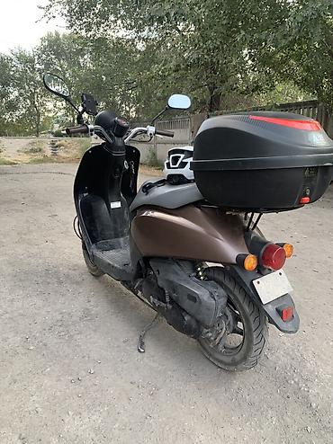 тлк 200: Honda today 49 куб AF61 Продаю свою ласточку прослужила мне верно и — 5