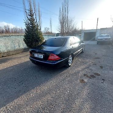 гелик мини: Mercedes-Benz S-Class: 2000 г., 3.2 л, Автомат, Бензин, Седан — 3