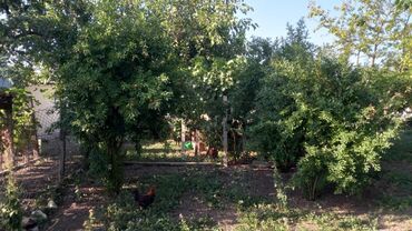 Həyət evləri və villaların satışı: 6 otaqlı, 150 kv. m, Orta təmir — 48