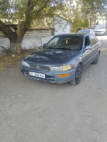 наклейки для машин: Toyota Corolla: 1995 г., 1.6 л, Механика, Бензин, Хэтчбэк