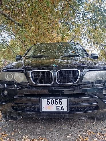 led лампа на авто: BMW X5: 2002 г., Автомат, Кроссовер — 1